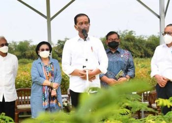 President: Critical Land Reclamation Begins With Nursery Construction