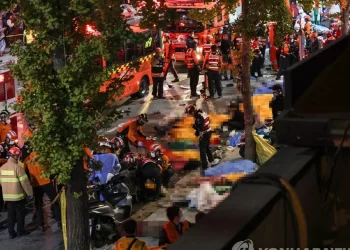 President Jokowi Offers Condolences over South Korea’s Deadly Crush