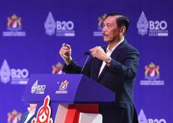 ‘You See a Different Indonesia Today’: Luhut Boasts Gov’t Achievements at B20