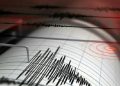 Maluku BMKG Revokes Tsunami Warning after 7.9M Earthquake