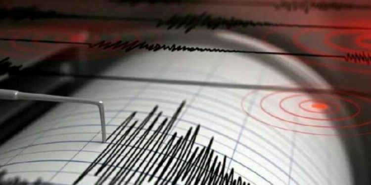 Maluku BMKG Revokes Tsunami Warning after 7.9M Earthquake