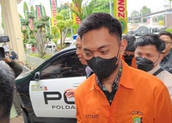 Lawyer for Mario Dandy Alleges Impostor ahead of Trial