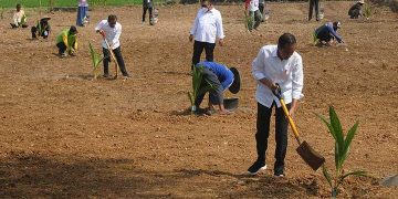 Jokowi Wants Agricultural Census to Be Conducted Every 5 Years