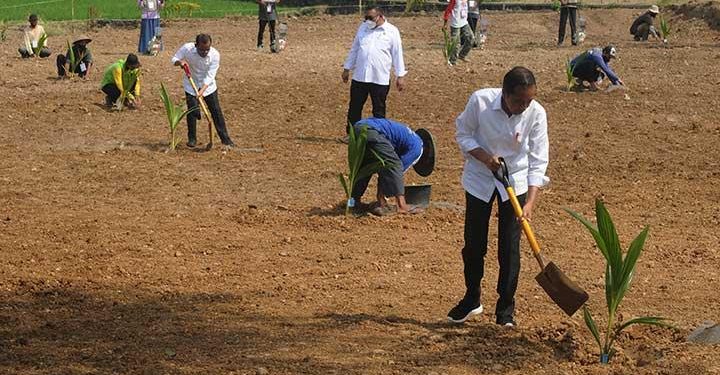Jokowi Wants Agricultural Census to Be Conducted Every 5 Years