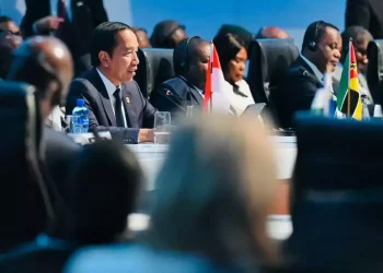 BRICS Membership Lacks Economic Benefit for Indonesia