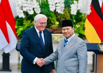 President Prabowo Subianto and German President Frank-Walter Steinmeier Agree to Strengthen Strategic Partnership